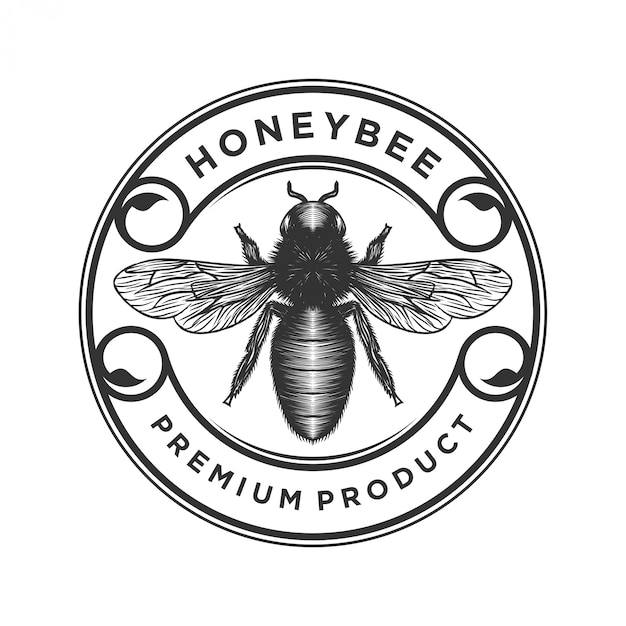 Vector honey products or honey bee farms logo