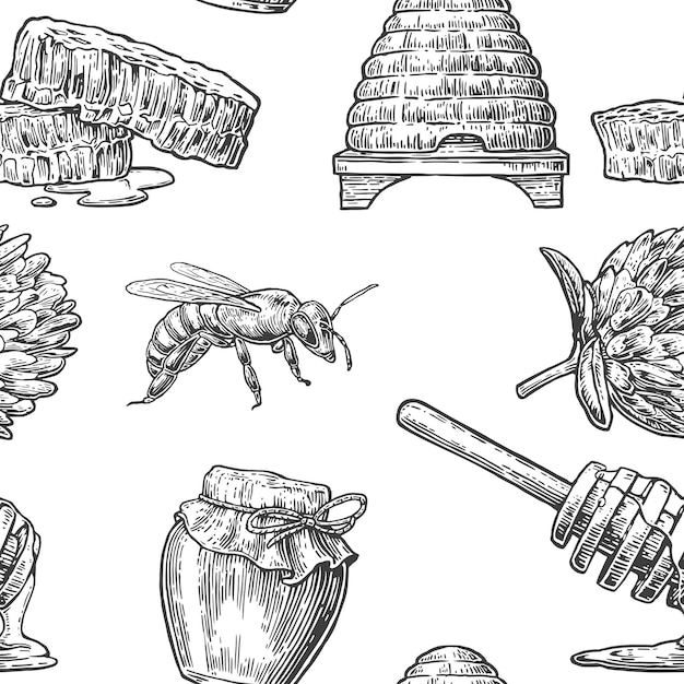 Honey seamless pattern barattoli di birra e nido d'ape elemento di design disegnato a mano illustrazione vettoriale incisa isolata su sfondo bianco