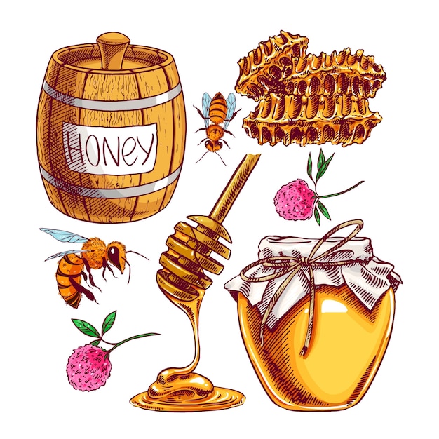 Vector honey set. jars of honey, bees, honeycomb. hand-drawn illustration