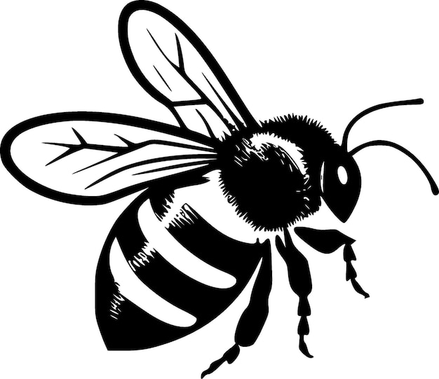 Honeybee Black and White Isolated Icon Vector illustration