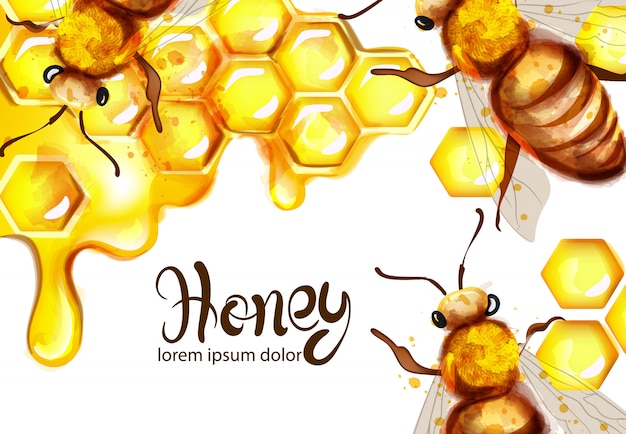 Honeycomb and bees watercolor