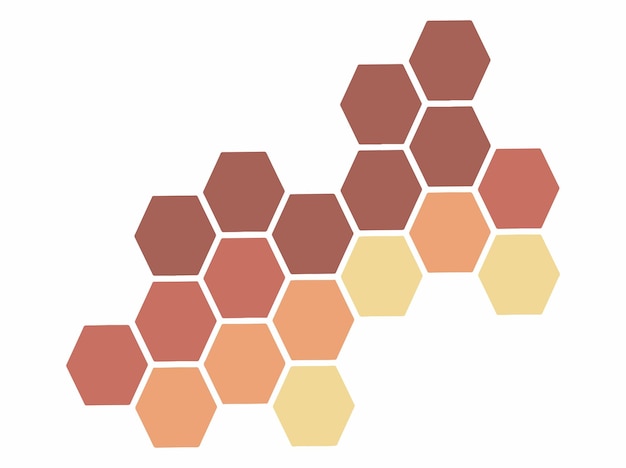 Honeycomb Frame Cells Illustration