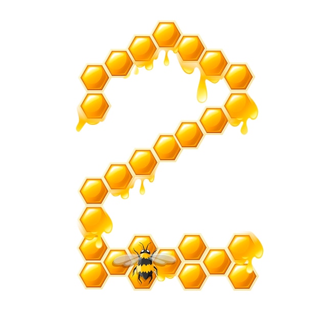 Honeycomb number 2 with honey drops and bee cartoon style food design flat vector illustration isolated on white background.