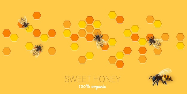 Vector honeycomb paper cut banner with bees and honey