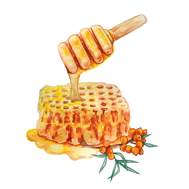 Honeycomb with honey and a branch of sea buckthorn
