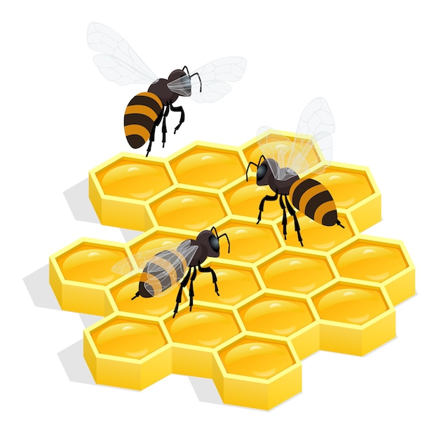 Illustrazione isometrica vettoriale 3d piatta a nido d'ape. miele naturale produzione alimentare sana