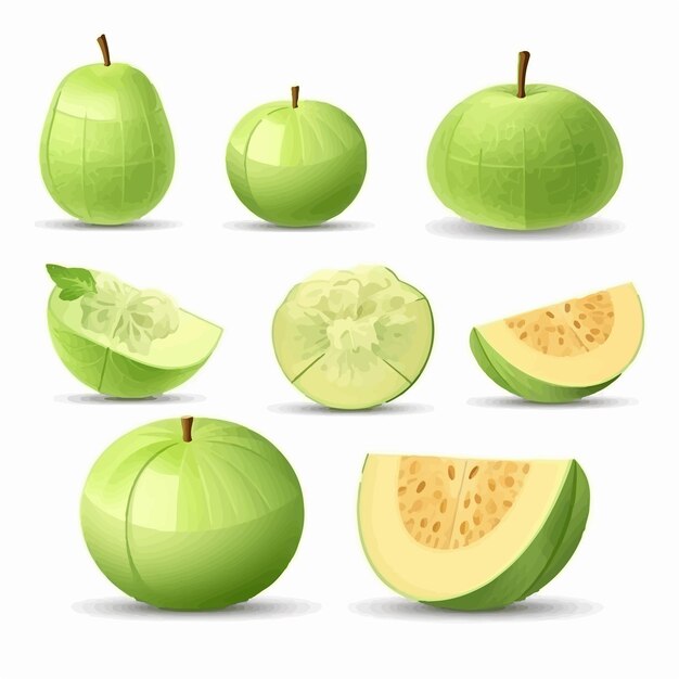 Honeydew melon seamless pattern vector background