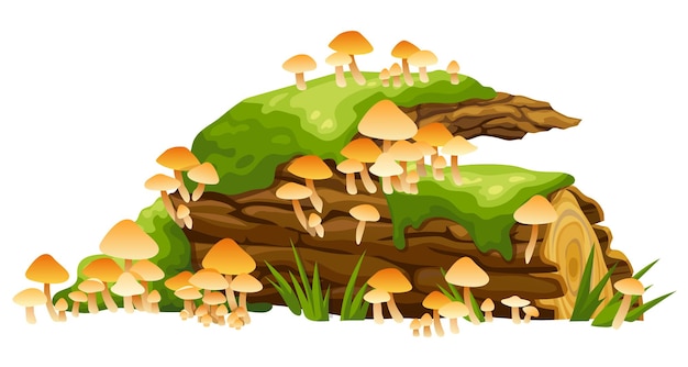 Vector honing paddestoelen mos op boomstammen cartoon boom in korstmossen en paddenstoelen in moerasbos