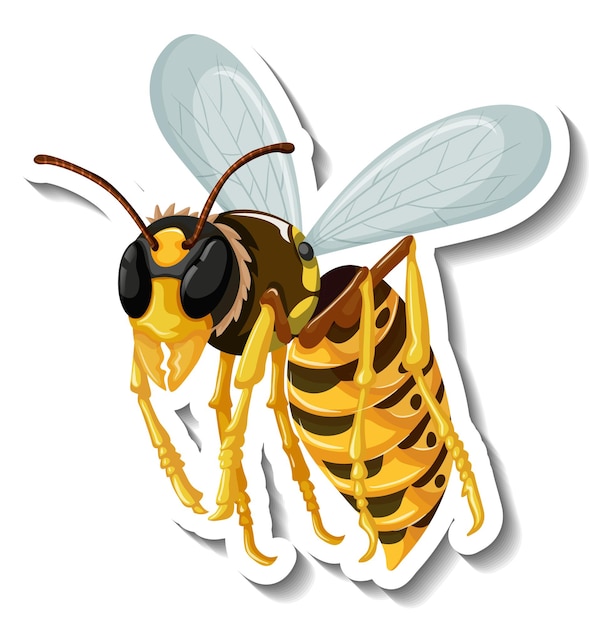 Vector honingbij insect cartoon sticker