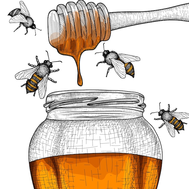 Honingpot honingdipper en bij
