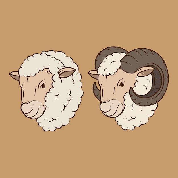 Hoofd schapen