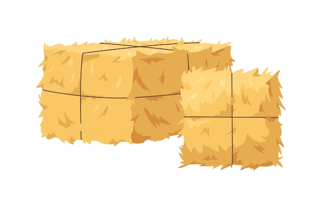 Hooi gouden balen tarwe stapel gebonden met touw Gouden stro droog glas bundel landbouw oogst geperst in rechthoekige en vierkante vormen Platte cartoon vector illustratie geïsoleerd op witte achtergrond