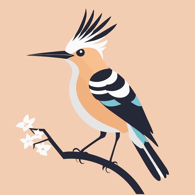 Vector hoopoe bird illustration cartoon clip art vector design