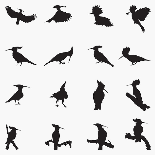 Vector hoopoe bird silhouettes illustration