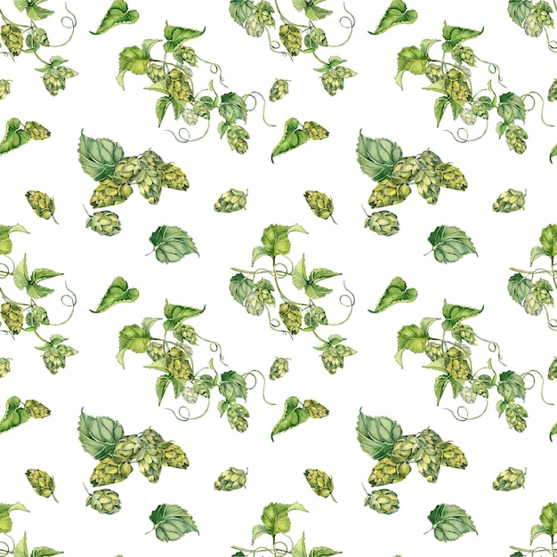 벡터 홉 덩굴 식물 humulus 수채화 원활한 패턴 흰색 배경에 고립 브런치에 홉