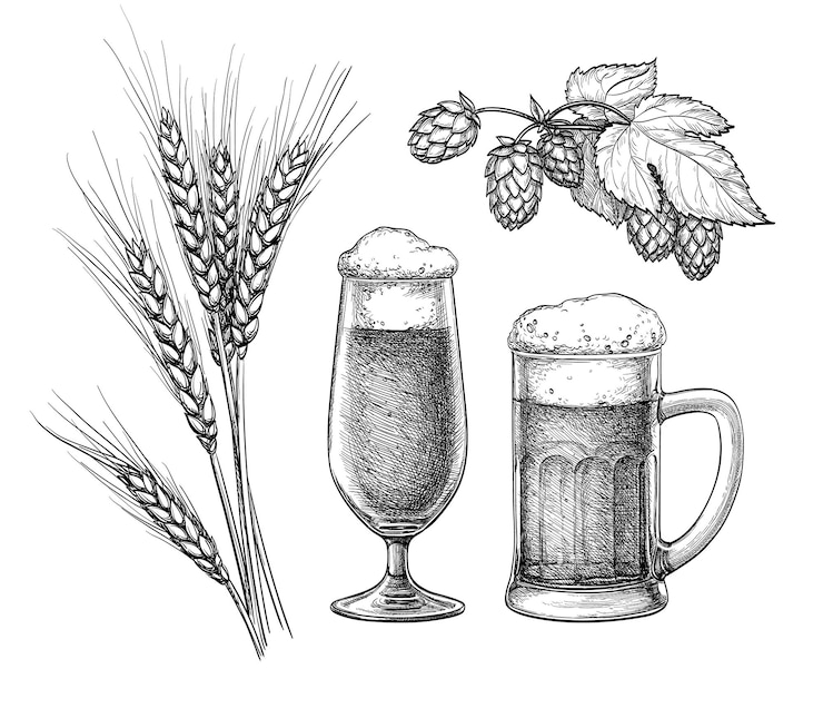 Vector ホップ麦芽ビール グラスとビール ジョッキ。手描きのインク スケッチ。