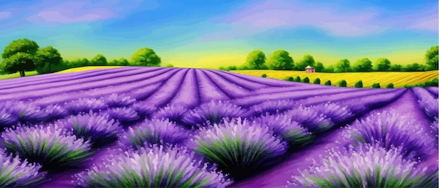 Vector horizon view lavender valley sunny day summer weather sunset meadow outdoor wallpaper countryside