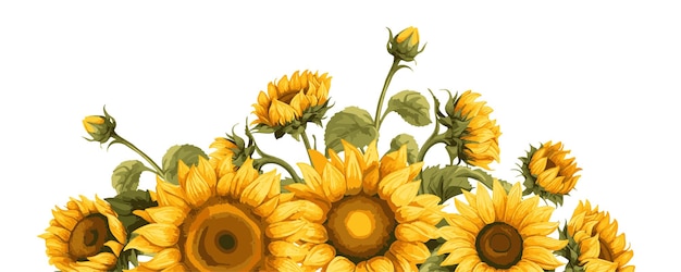 Vector horizont border with yellow sunflowers and green leaves decorative floral design elements