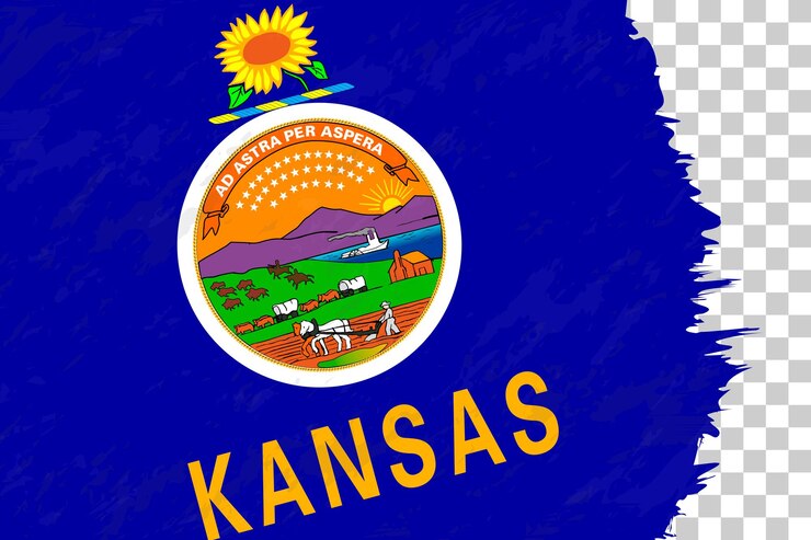 Vector horizontal abstract grunge brushed flag of kansas on transparent grid