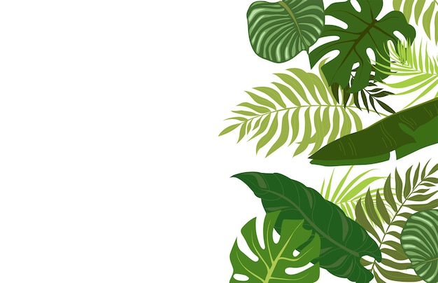 Horizontal background with green leaves of tropical palm tree, banana and monstera. elegant backdrop