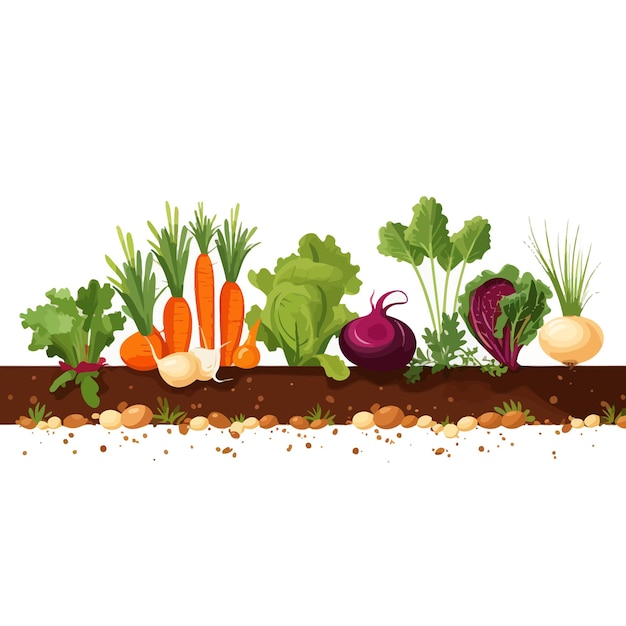 Vector horizontal banner made of simple vegetables flat vector style on white background
