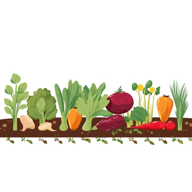 Horizontal banner made of simple vegetables flat vector style on white background