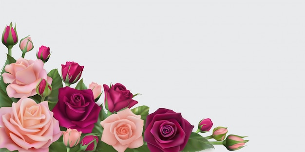 Banner orizzontale con delicate rose realistiche