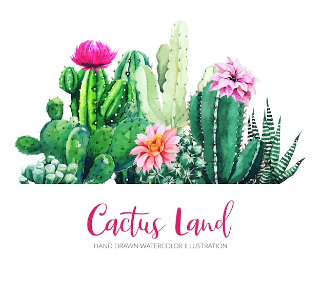 Horizontal banner with watercolor cactus and succulent plants