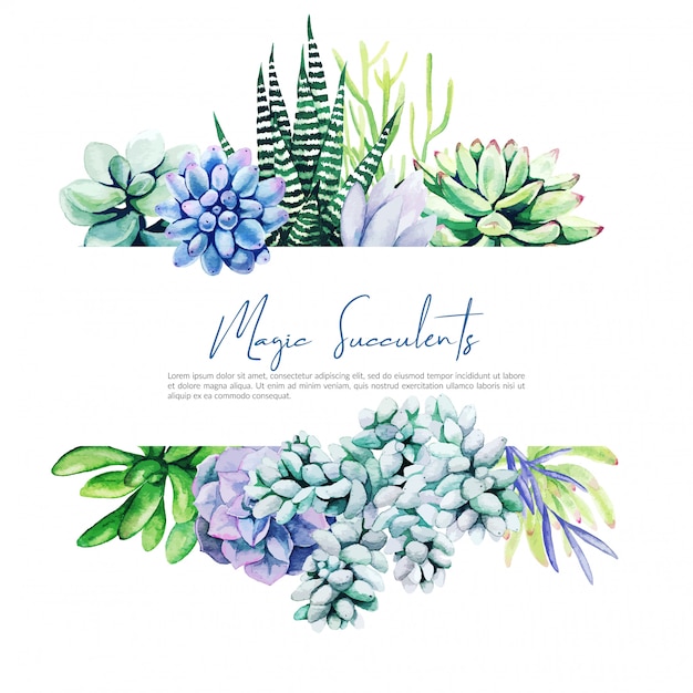 Vector horizontal banner with watercolor cactus and succulent plants