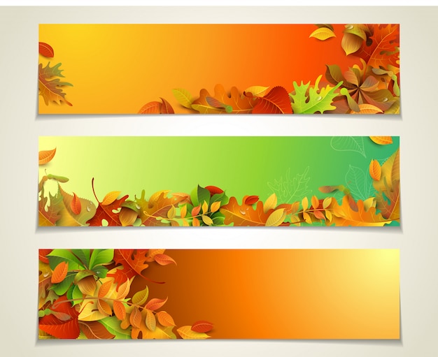 Horizontal banners set. autumn maple, oak, birch, elm, rowan, chestnut, aspen leaves, and acorns.