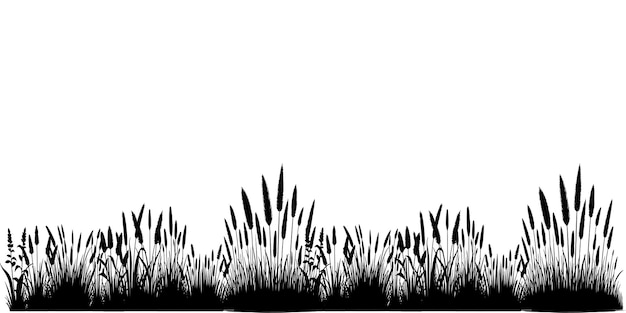 Horizontal black grass land Silhouettes Cultivated Lawn vector illustration on white background