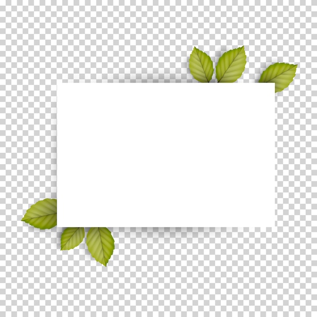 Вектор Горизонтальный чистый белый лист бумаги и зеленые свежие весенние листья