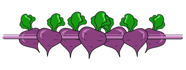 Horizontal border edge bright purple ripe beetroot root vegetable vector cartoon