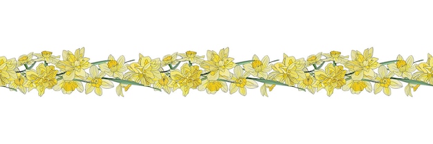 Vector horizontal border frame of blooming daffodils seamless botanical pattern flowers in ink