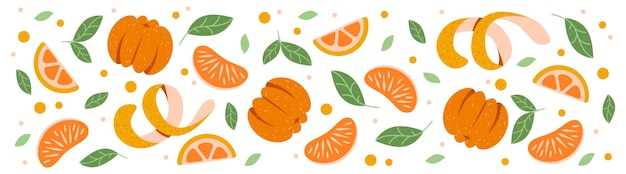 Horizontal eco banner with citrus fruits. Tangerines, oranges. Background for orange juice or jam