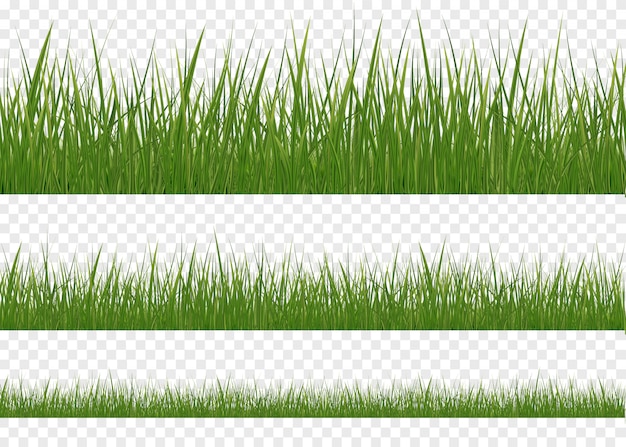 Vector horizontal green lawn of grass isolated  set