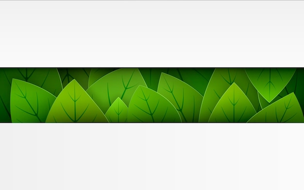 Horizontal illustration of green leaves with empty copyspace