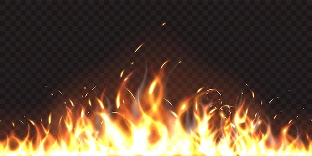 Burning Fire Background, Combustion, Raging, Fire Background Image