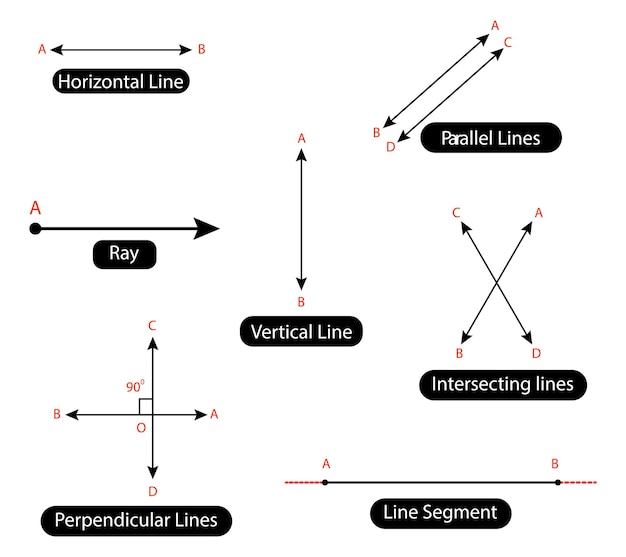 Vector horizontal vertical parallel intersecting lines perpendicular lines line segment and ray