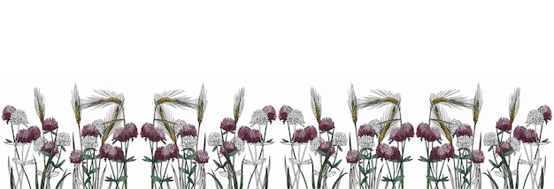 Горизонтальный белый баннер или цветочный фон, украшенный великолепной пшеницей и клевером. Лето
