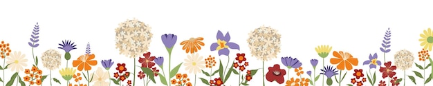 화려한 화려한 개화 꽃과 잎 테두리로 장식 된 가로 흰색 배너 또는 꽃 배경 흰색 배경에 고립 된 봄 여름 식물 벡터 일러스트 레이 션