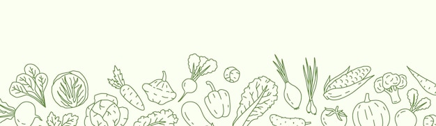 Horizontale achtergrond met verschillende groenten en een plek voor tekst. Veganistische achtergrond met biologische natuurlijke producten. Lijn kunst vector monochroom illustratie.