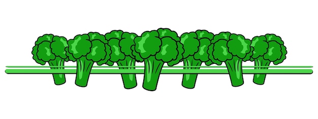 Vector horizontale rand rand helder groene rijpe stukjes broccoli vector cartoon