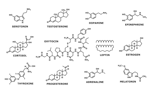 ベクトル ホルモン分子式構造線記号