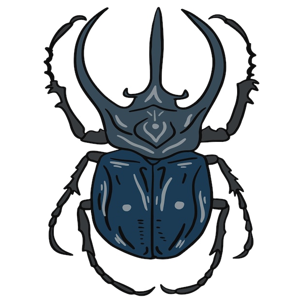 horn beetle hand drawn illustration