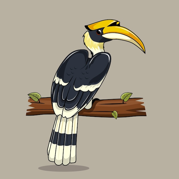 Illustrazioni di vettore dell'uccello del bucero cartoon
