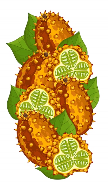 Horned Melon isolated composition.