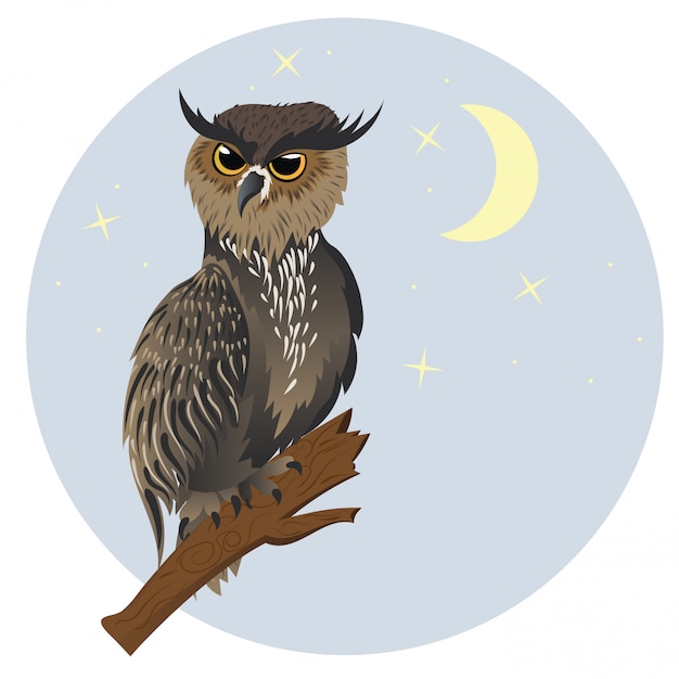 Vector horned owl on a branch