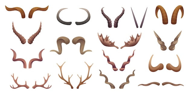 Horns collection Buffalo rams sheep animal head anatomic parts exact vector collection set