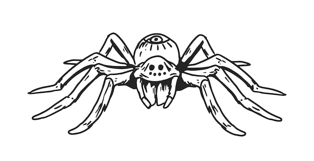 足と背中に球を持つ恐ろしいクモ。昆虫の黒と白のハロウィーンのスケッチ。白い背景に分離された手描きのモノクロ ベクトル イラスト。